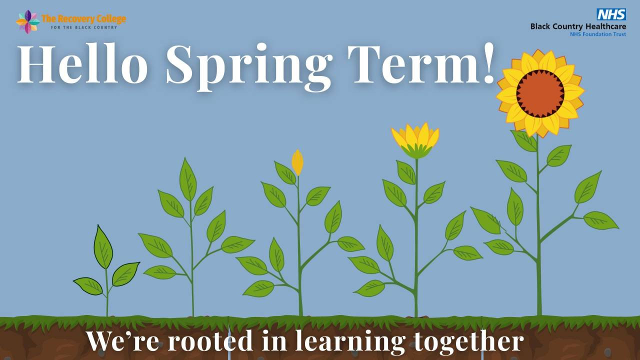 Hello-Spring-Term-26-