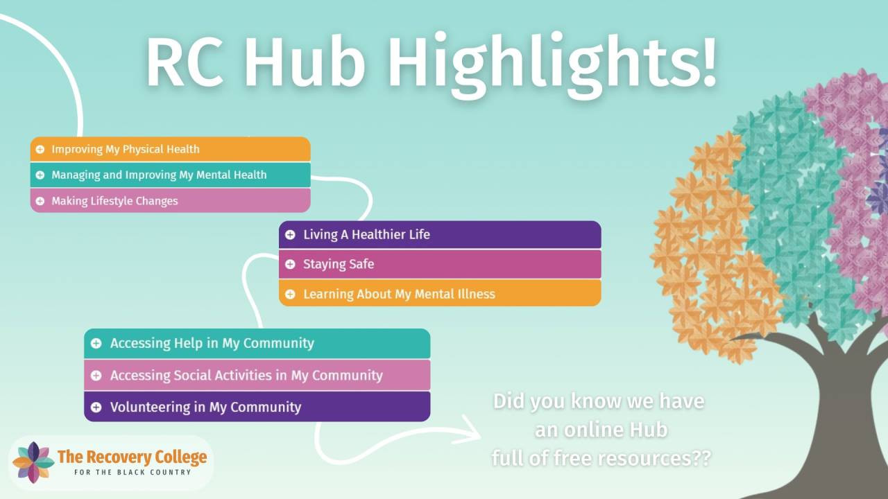 RC-Hub-Highlights-_20250226-105951_1