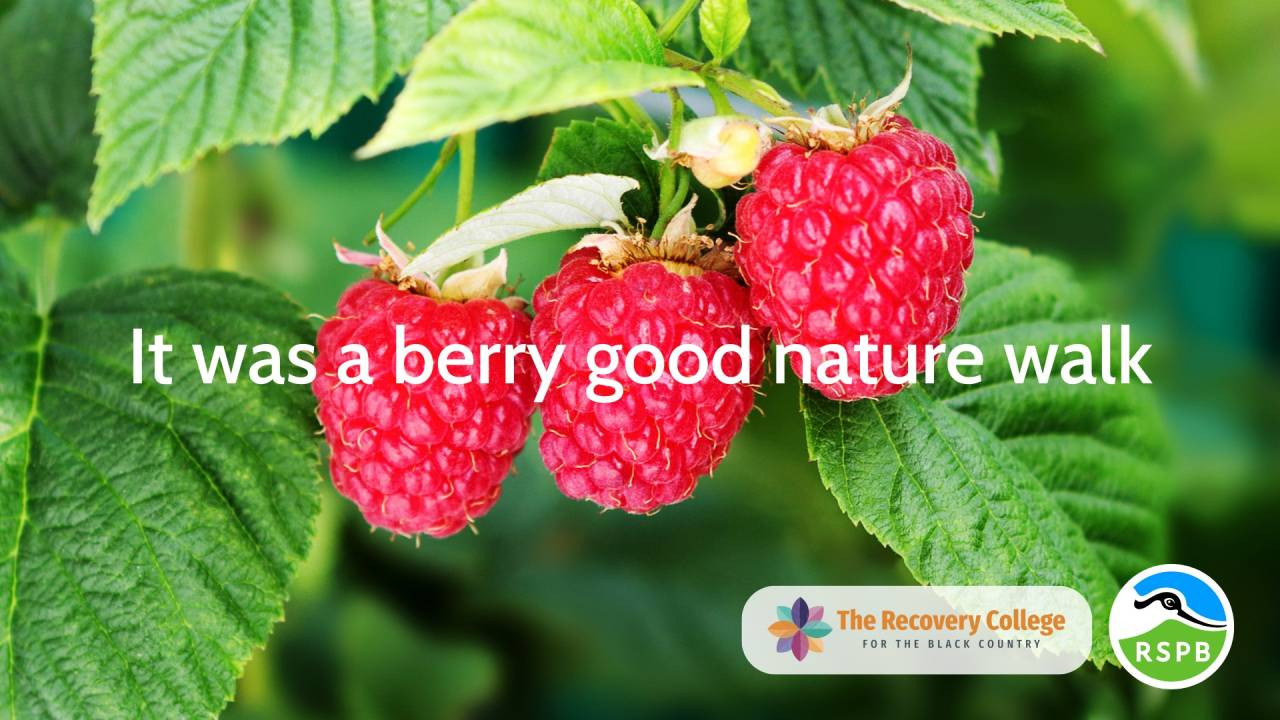 Nature Prescribing